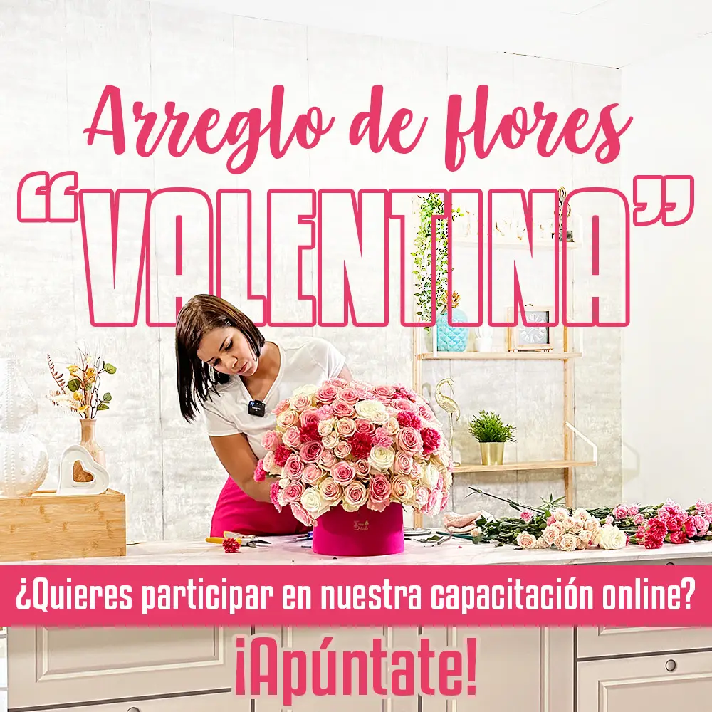 Curso Arreglo de Flores Valentina